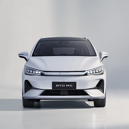 Dragon Face 3.0 Grille, Inspired by the BYD Dynasty Series