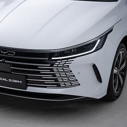 Frameless Dot Matrix Front Grille