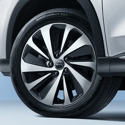19" Sport Alloy Wheels